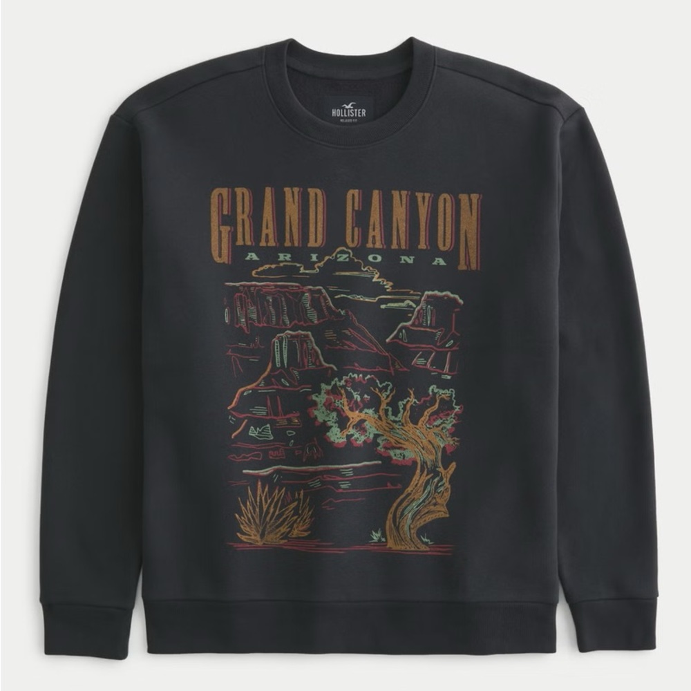 Hollister Graphic Crew Sweatshirt - NWT